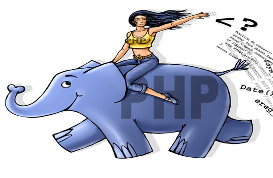 新手怎么學習php