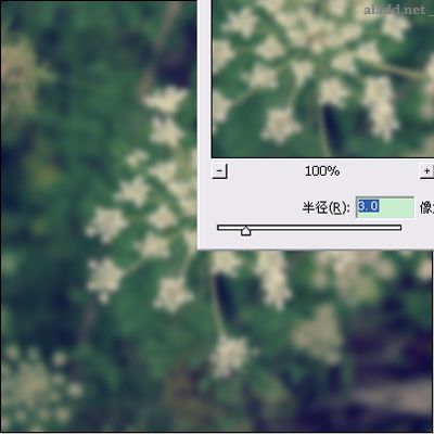 Photoshop為普通花卉照片添加柔和藝術效果,PS教程,Photoshop教程