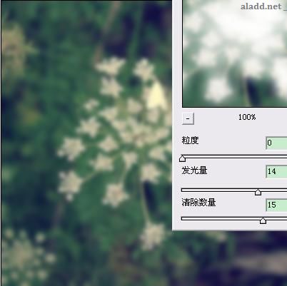 Photoshop為普通花卉照片添加柔和藝術效果,PS教程,Photoshop教程