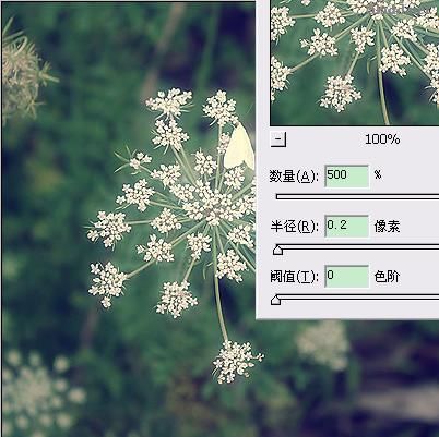 Photoshop為普通花卉照片添加柔和藝術效果,PS教程,Photoshop教程