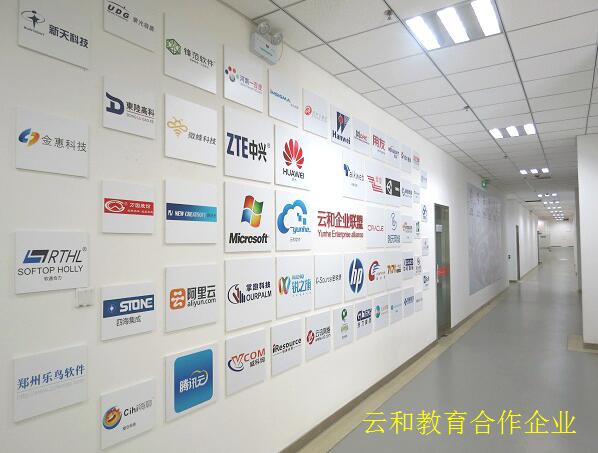 云和教育合作企業