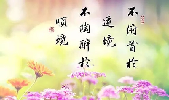 你的2016年，已經余額不足