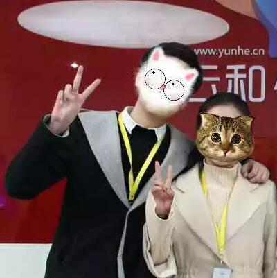 誰(shuí)說(shuō)程序猿找不到女朋友？這把狗糧撒的有點(diǎn)猝不及防！